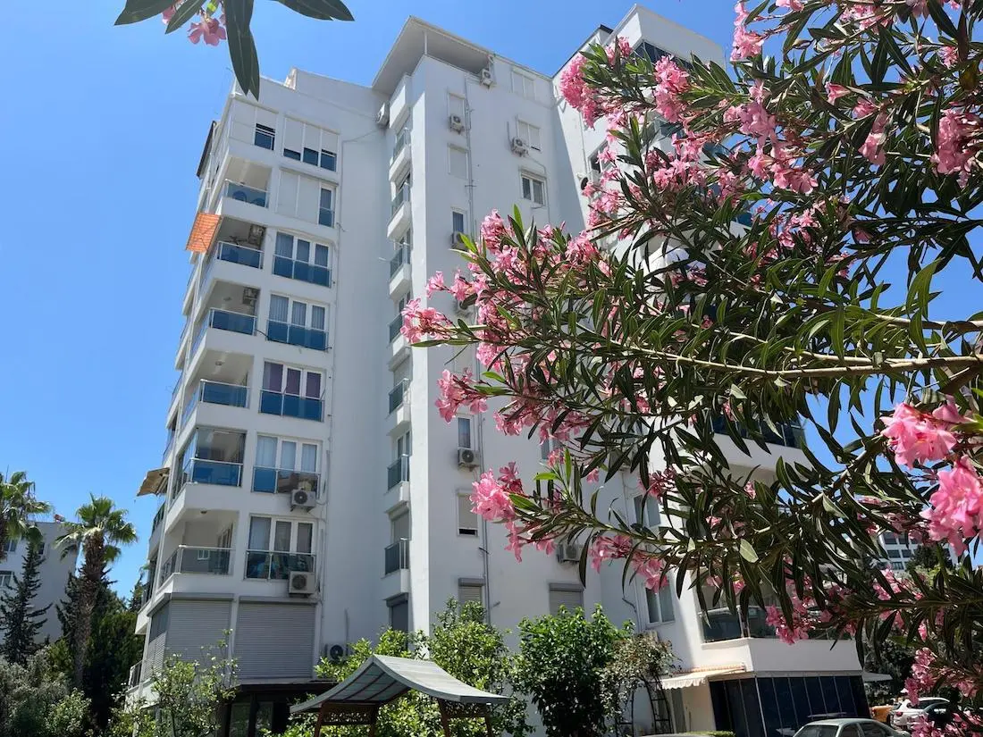 Properties in Lara